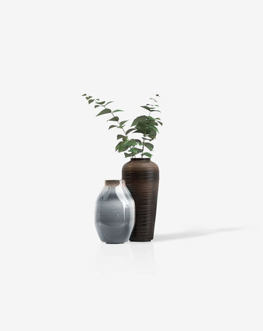 Bonsai desktop 8