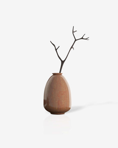 Bonsai desktop 11