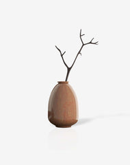 Bonsai desktop 11