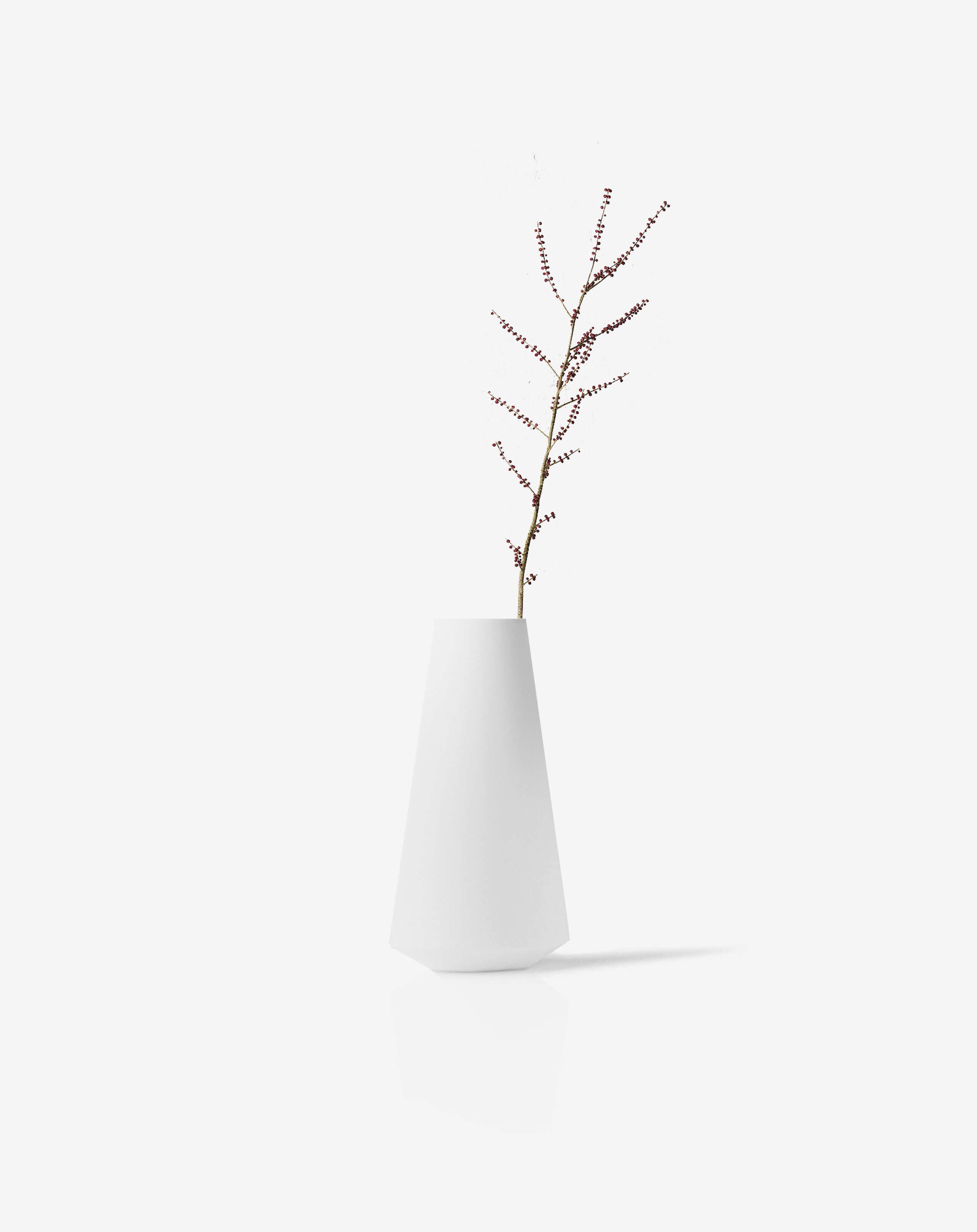 Bonsai desktop 12