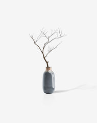 Bonsai desktop 13
